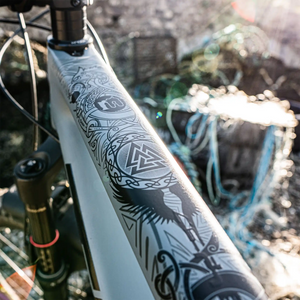 Frame Skinz