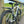 Gut Fender