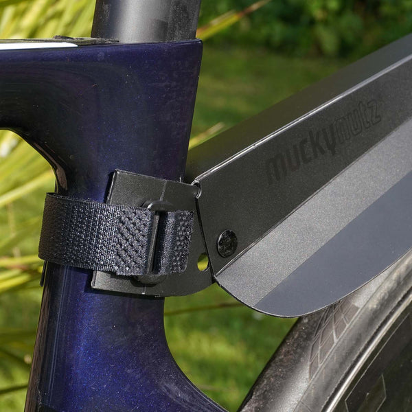 Rear Fender